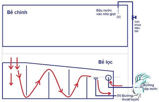 Nguyên lý hoạt động của lọc tràn 